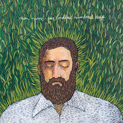 iron and wine, our endless numbered days